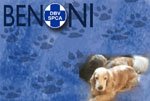 Benoni SPCA Blog