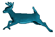 Tealdeer.giff