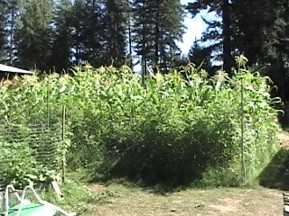 [9_9_2008+12_43+PM_0002.jpg]