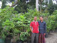 Foto Saya