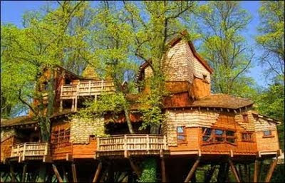 tree house