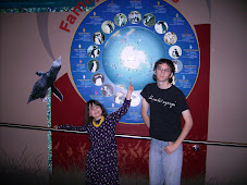 At the Antarctic Centre