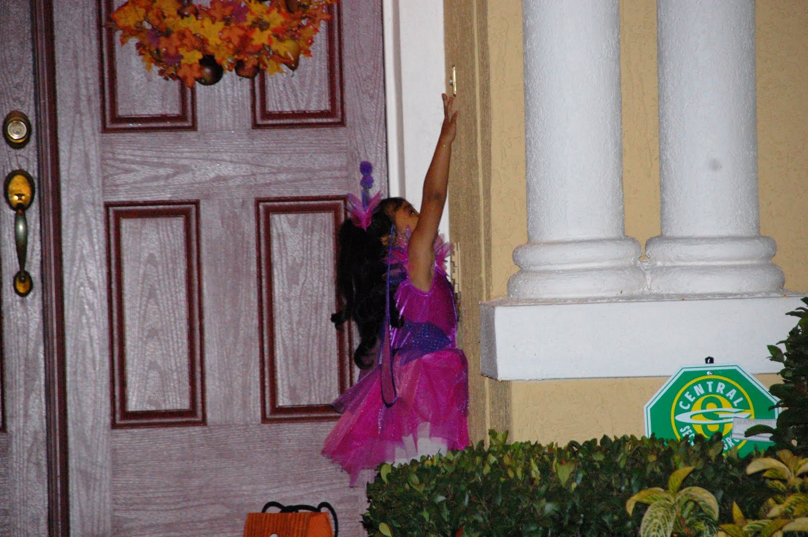[DSC_1275.JPG]