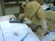 My photo