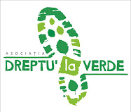 Dreptu' la verde