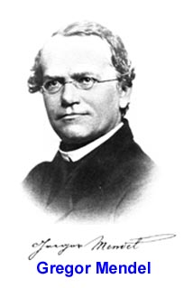[Gregor_Mendel_BW.jpg]