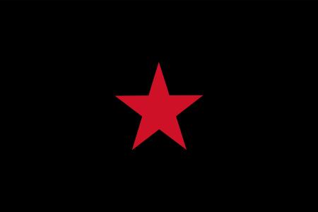 [450px-Flag_of_the_EZLN_svg.png]