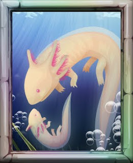 Axolotl (Cuento) Nuevopara+adoptar