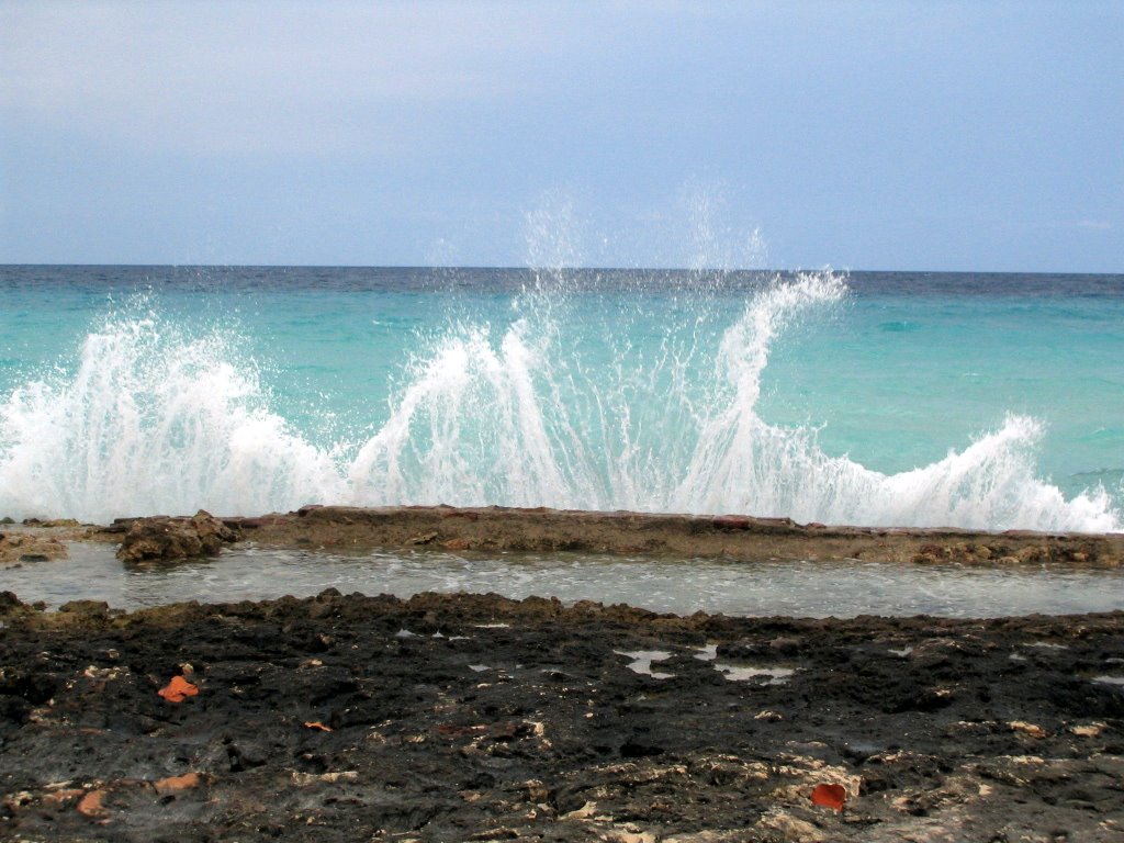 [IMG_0038.JPG]