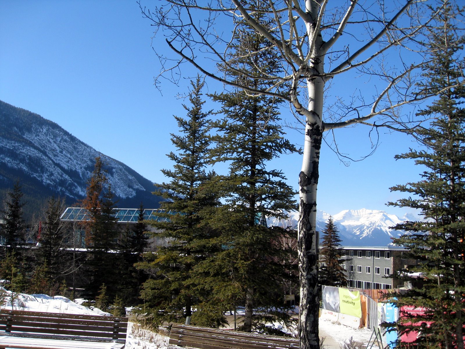 [IMG_6374.JPG]