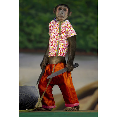 Monkey theatre
