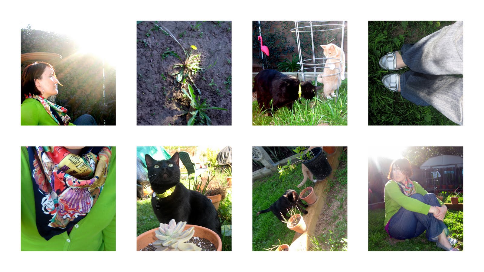 [outer+kitties.jpg]