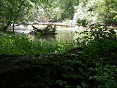 Little Darby Creek