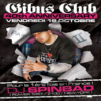 dj spinbad