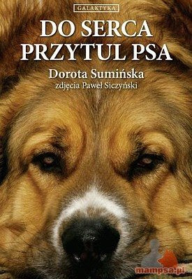 Dorota Sumińska. Do serca przytul psa.