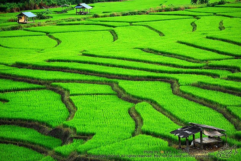 สถานที่ท่องเที่ยวในประเทศไทย