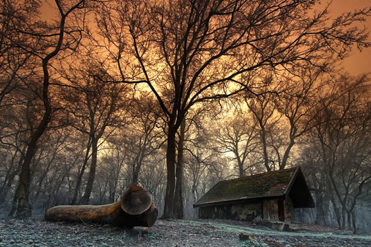 em fotos de paisagens a