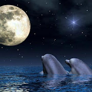 DELFINES ENAMORADOS