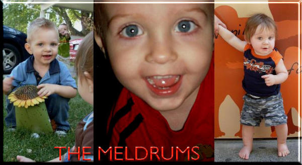 The Meldrums