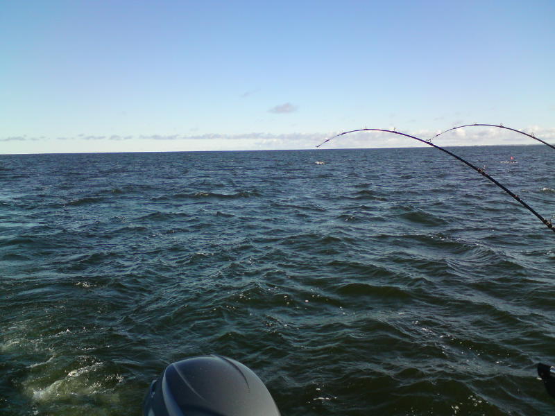 [image-upload-111-765264.jpg]