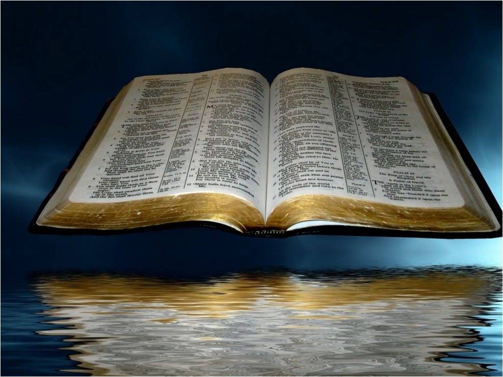 LEER LA BIBLIA EN UNA leer la biblia en una: