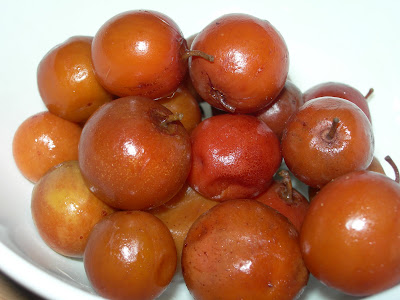 Elantha Vadai