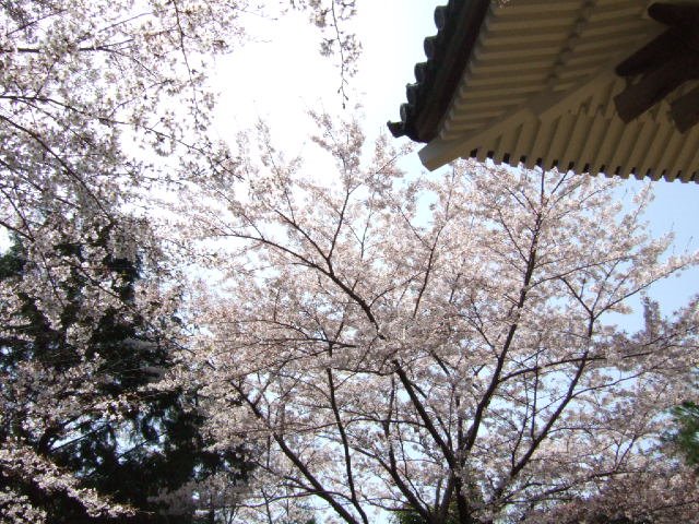 [DSCF8800.JPG]