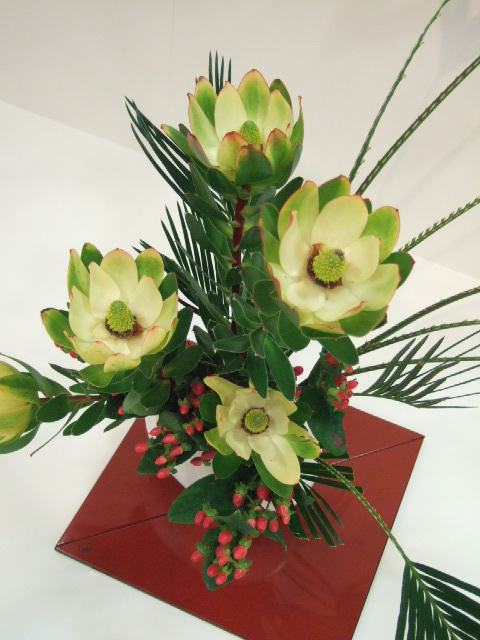 [DSCF6755.JPG]
