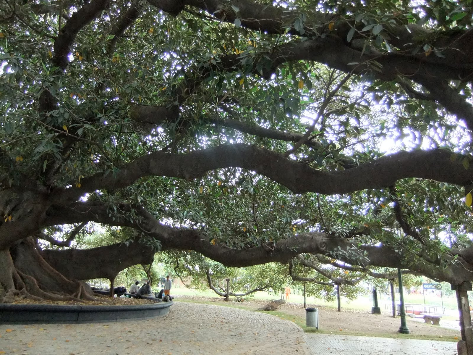 [DSCF1062.JPG]