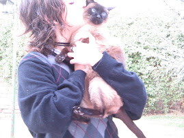 I'm never going to forget you