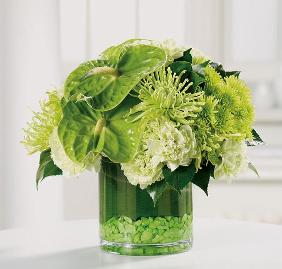 [282_St_Pattys_Surprise.jpg]