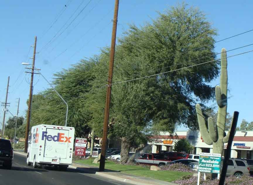 Roaming the USA in our Motorhome Tucson, Amado, Nogales, AZ