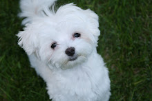 Zoey
