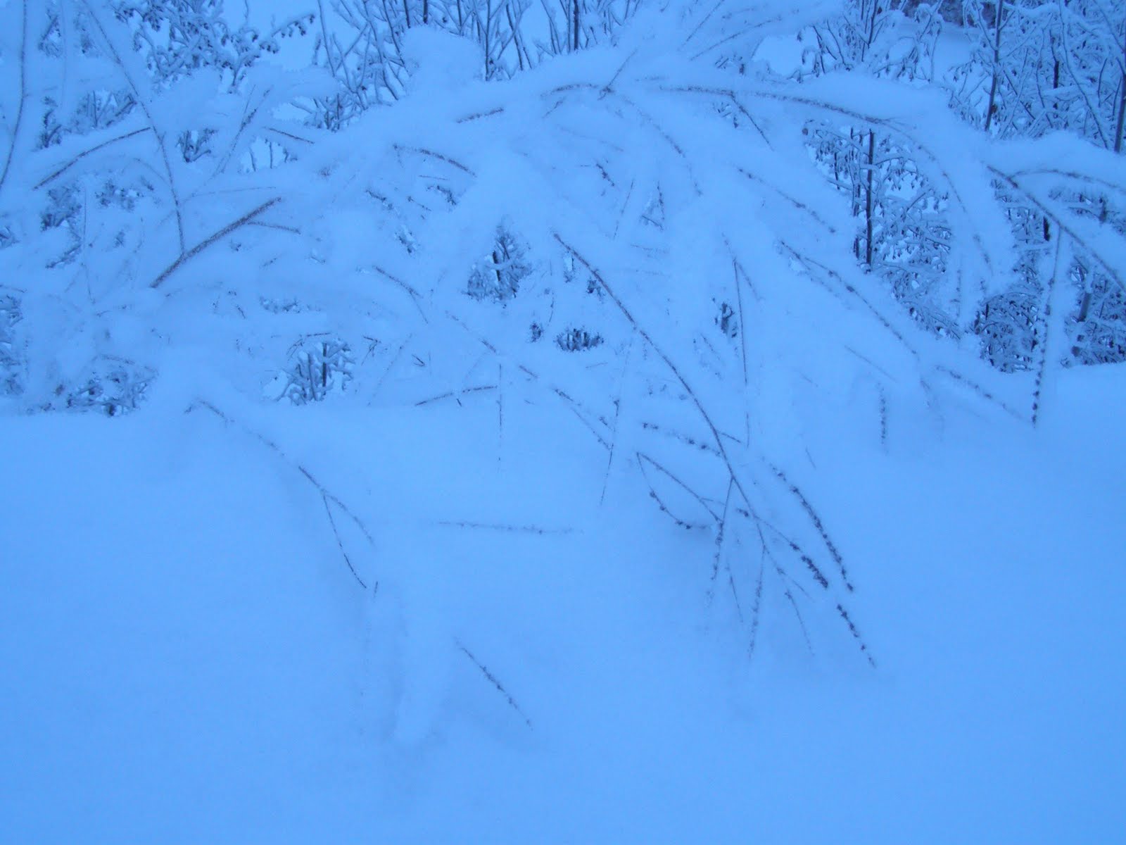[snow+1.JPG]
