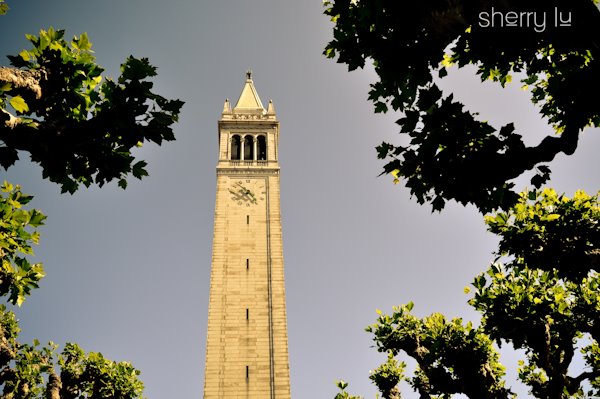 [Campanile.jpg]