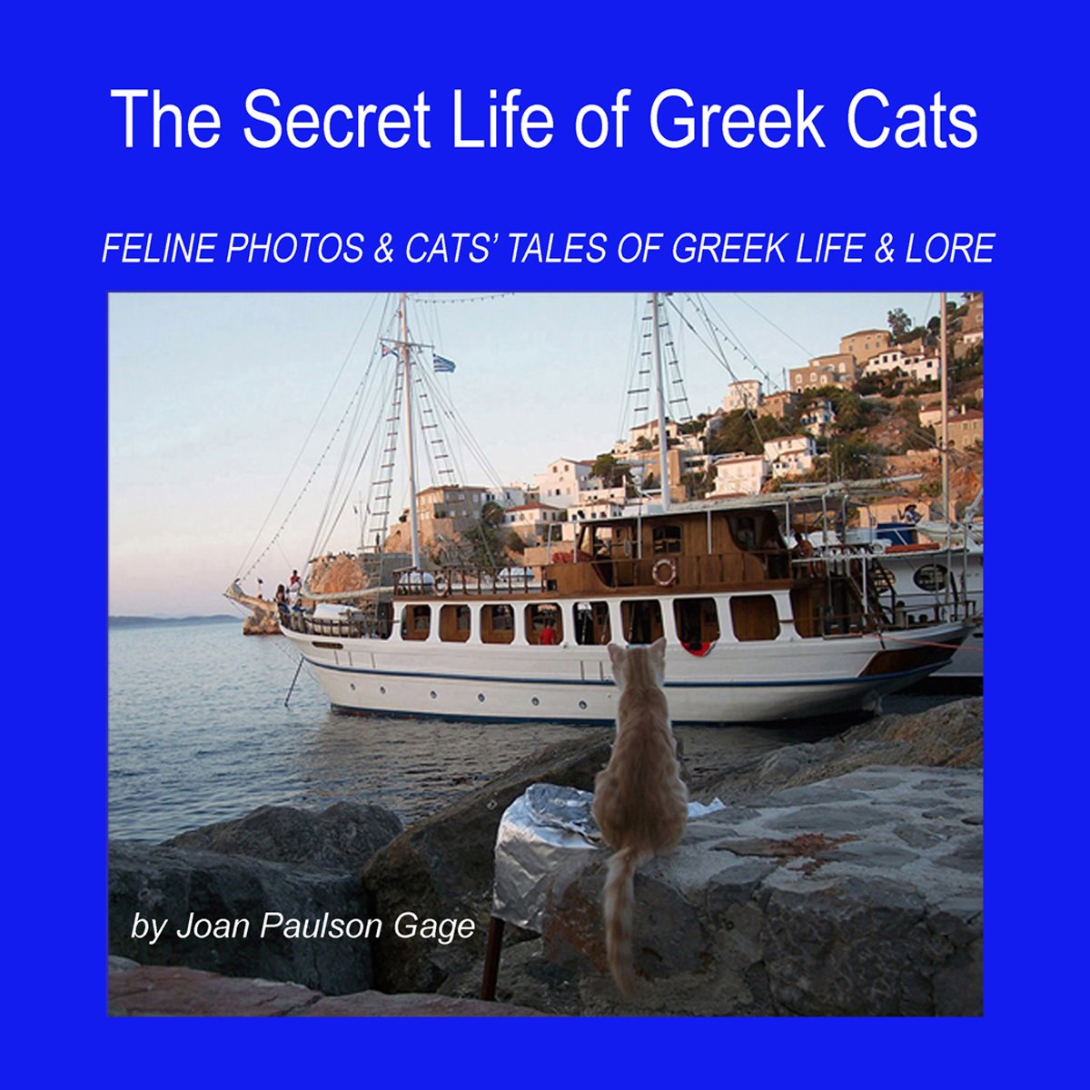 [+Cover+cats+Book.jpg]