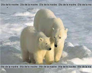 dia de la madre