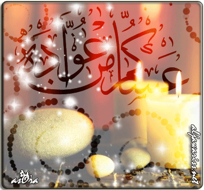 1166283562_79878677ASA