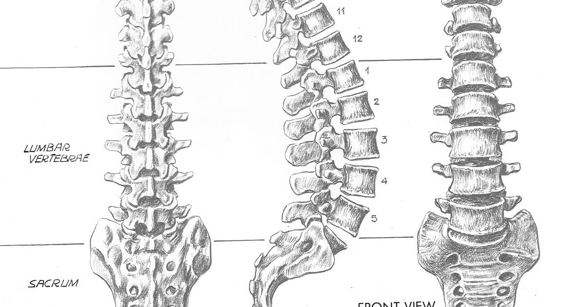 Ballet Dancing Common Back Injuries and How to Look After your Back as