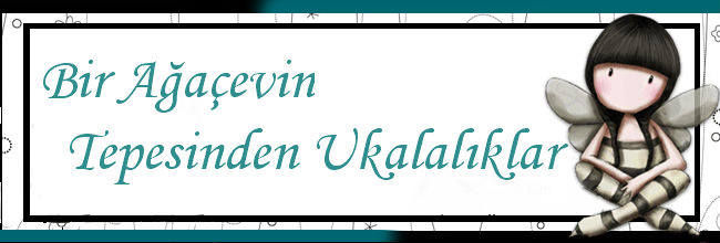 bir ağaçevin tepesinden ukalalıklar