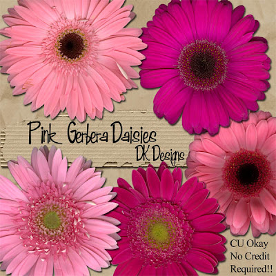 Gerbera+daisies+pictures
