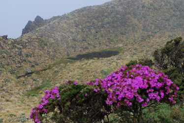 Lagunas de Los Andes