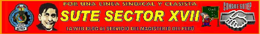 Sute sector 17