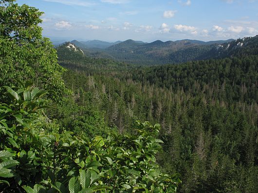 Velebit