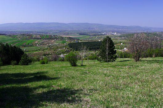 Naszály