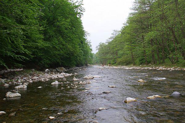 Cerna valley