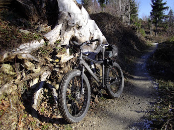 Stevie's Fatbike