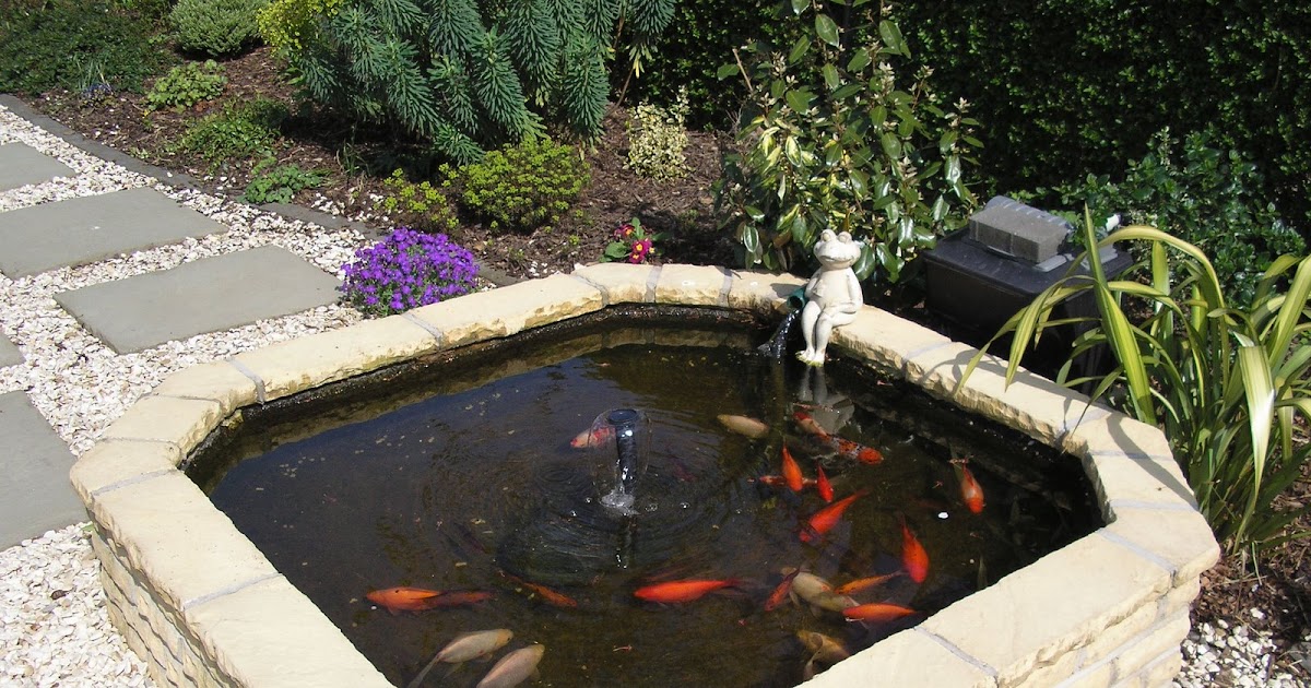 koi_pond_building_ideas_pond_with_gazebo.jpg
