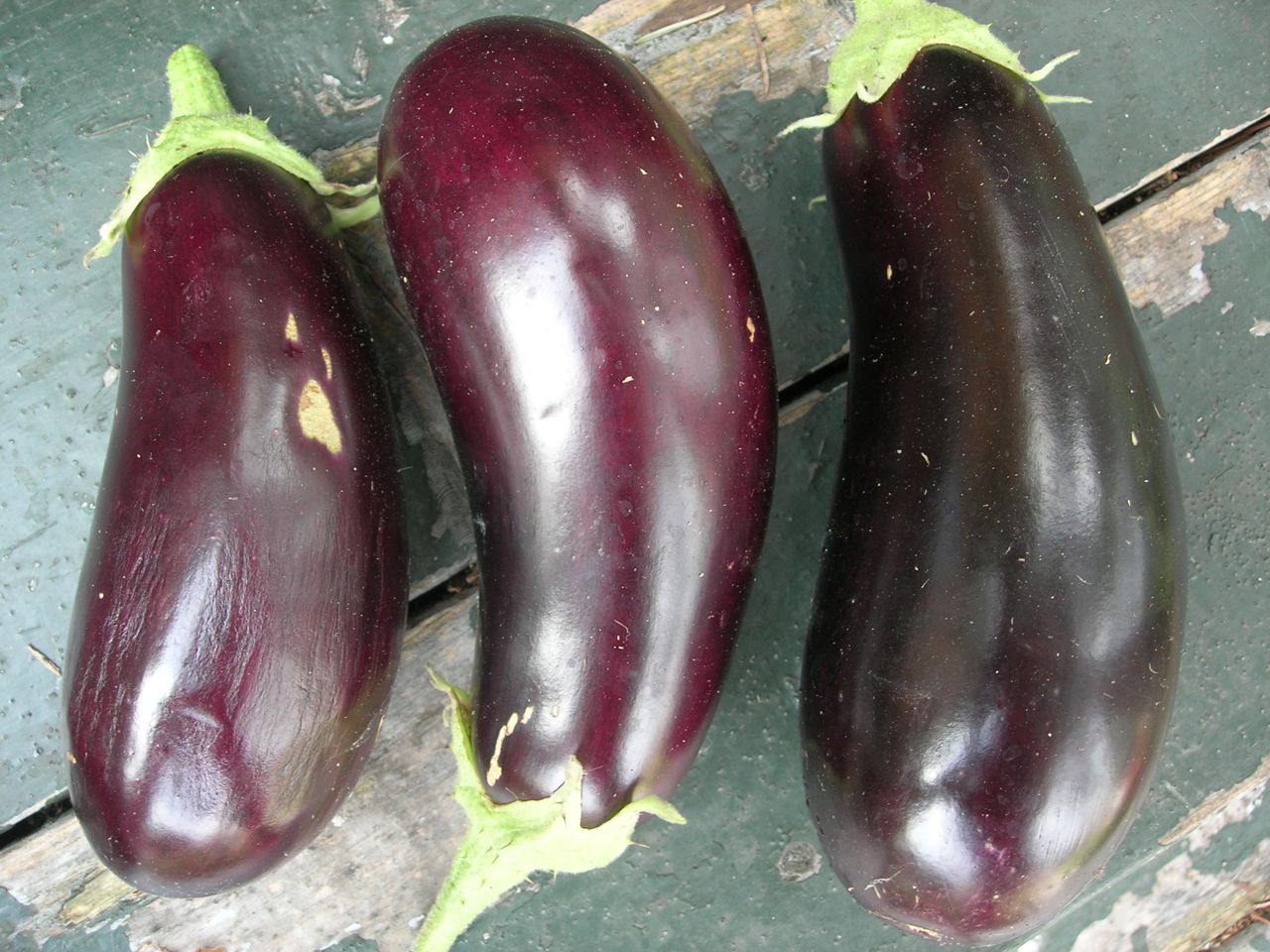 [0908183eggplants.jpg]