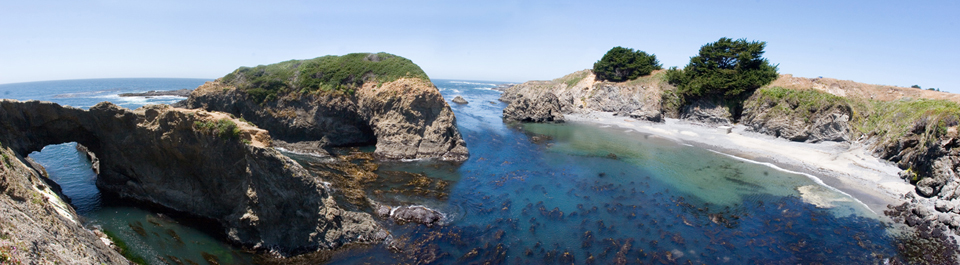 [Mendo+coast.jpg]